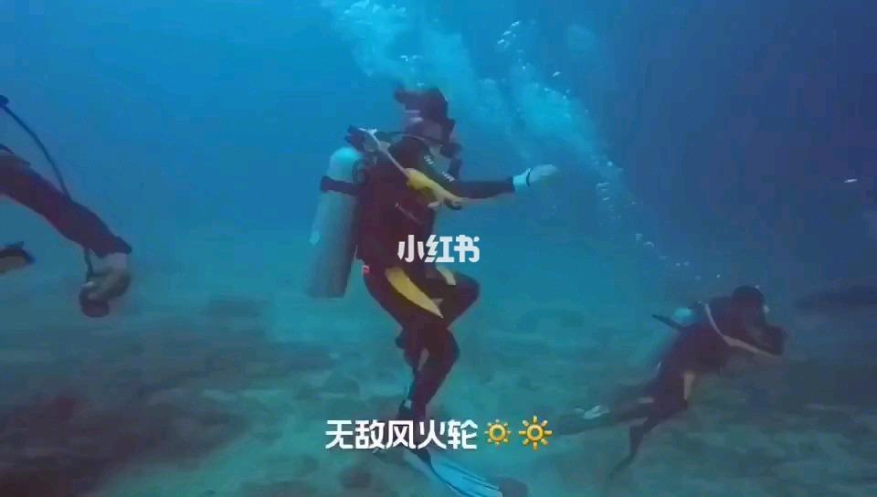 动物帮帮忙保卫家园