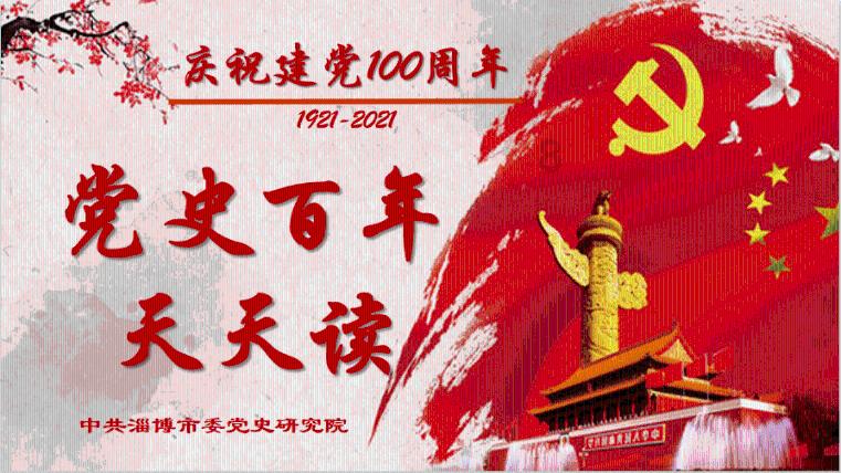 寻找萌宠松鼠